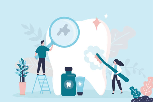 Best Laser Dentistry  in Siesta Key, FL